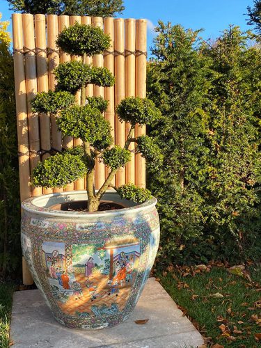 Fishbowls und Vasen in der Gartenwelt